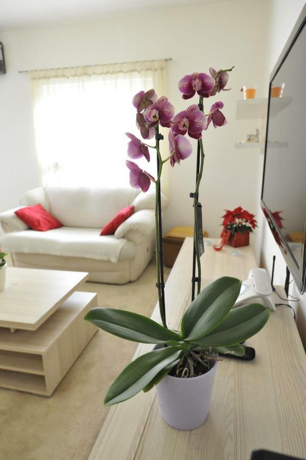 Vlatka Apartman Split Luaran gambar